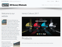 Tablet Screenshot of brnurserywholesale.com